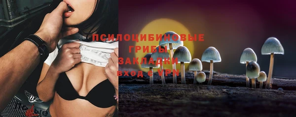 амф Верхний Тагил