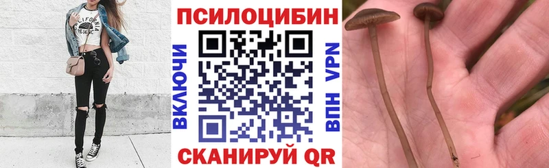 мега Канск Псилоцибиновые грибы Psilocybine cubensis закладки