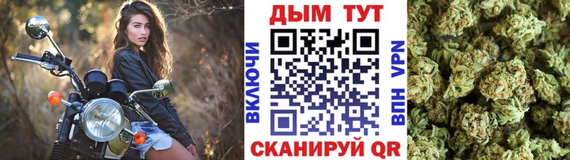Канабис планчик  Канск 